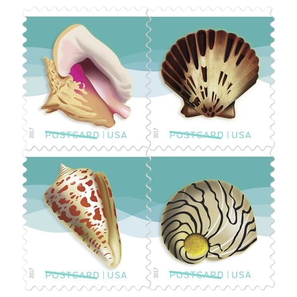 Seashell Postcard Stamps