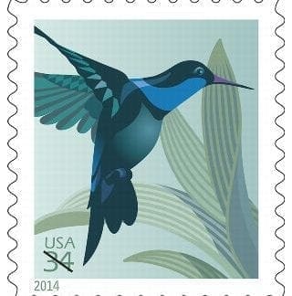 Hummingbird Postage Stamps