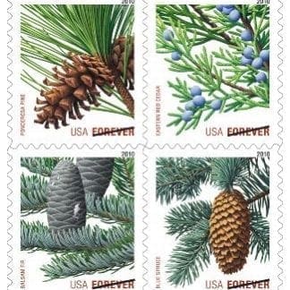 Holiday Evergreens Forever Stamps