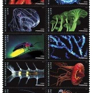 Bioluminescent Life Forever Stamps