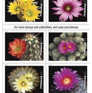 Cactus Flowers (Book Of 20)