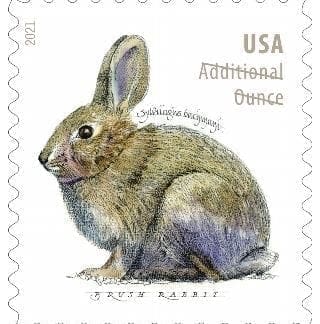 Brush Rabbit Additional Ounce (Roll Of 100)