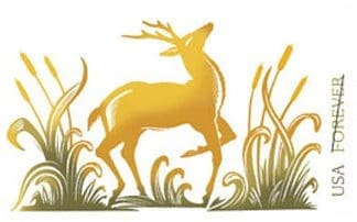 deer forever postcards