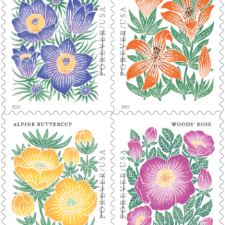 Mountain Flora (Roll Of 10,000)